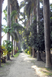 agriculture land near corbett park