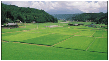 GFN property adviser all type of deals in all india