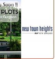 300 500 Sr yards DLF New Town Heights Plots in Sector 91 92 Gurgaon