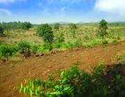 Buy Resort N.A. Plots in Shahpur,  Thane