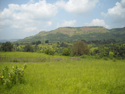 NA Plots for Sell Near Kasara