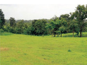 Farm Houses & NA Plots Available for Sell near Wada