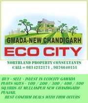 ECOCITY GAMADA PLOTS SIZES-100 TO 500 SQ.YRD BUY SELL AT MULLANPUR.