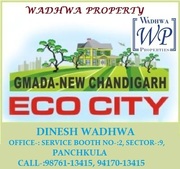 ECO CITY PLOTS IN MULLANPUR (NEW CHANDIGARH).