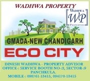 ECO CITY PLOTS IN MULLANPUR
