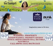 DLF PLOTS IN MULLANPUR (NEW CHANDIGARH)