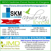 Property in Gurgaon