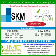 Property Gurgaon Sector 95