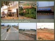 Welcome to the Seventh Heaven Concorde Mist Valley Plots