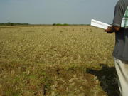 Land near Dhamraport, Bhadrak, Odisha, INDIA