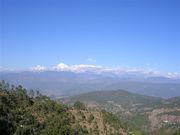 FOR SALE LAND IN NAINITAL, MUKTESHWAR, UTTARANCHAL