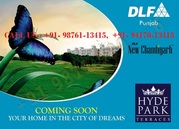 DLF Hyde Park Floors in Mullanpur