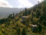 Apple Orchard for sale