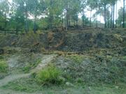 14 bighas of land on river view