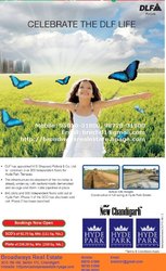 DLF Launch Garden Enclave 250Syd Residential Plots at Mullanpur,  New C