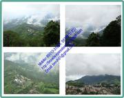 Aryavart Cottages on 400 sq yds plot Land 1BHK Near Kasauli