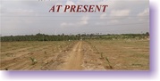 FARM LAND FOR SALE