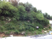 18 Biswa plot for sale in Manali