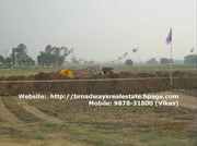 DLF Arcade Mullanpur DLF SCO Commercial New Chandigarh 