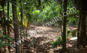 1acre land with a small house for sale near Chennalode