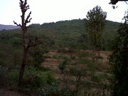 Land for sale in Maharashtra, Rs one lakh per Acre.