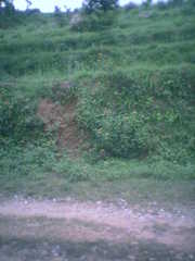 6.5 KANAL LAND AT bhawarana - Khera road, Shambhu mode