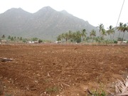 Agricultural land for sale