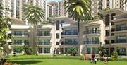 Nimbus Golden Palm Village Greater Noida Book Now @ 09999536147