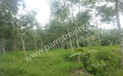 75 cent land for sale in Kenichira