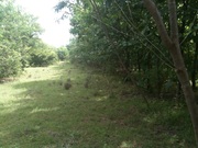 I want to sell my plots