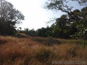 Settlement zone plot for sale at guirdolim chandor south goa with a be