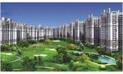 Amrapali Kingswood Noida Extension Call @ 09999536147 Greater Noida