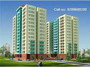 Amrapali Verona Heights Noida - 9582810000
