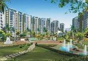 Amrapali Silicon City Sector 76 Noida - 9582810000