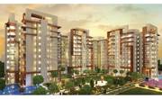 jaura prime boulevard, Noida, Book Now @ 09999536147 3 BHK Apartment