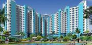Amrapali Jaura Heights - 9582810000