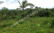 15 cent house plot for sale in near Manathavady(Thonichal).