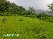 2000 sq yard farm land for sale in Himachal