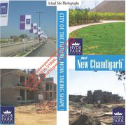 DLF 350SYD Plot Hyde Park at New Chandigarh Mullanpur