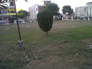 Shivalik Possessionable Plot at Shivalik City Sector 127, Mohali