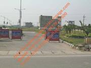 Fresh Booking 192-Syd Plots at TDI Sector 110, Mohali with Subvention