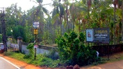 45 cents prime plot with compound wall at Paappinippaara, Manjeri