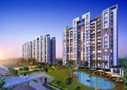sare new launch sector 92 Floor Plans Call @ 09999536147 In sector 92