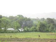 Eco Tourism Land Sale near to Alipurduar Jn