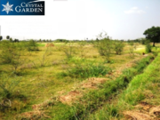 20 Acres of land for sale in Utiramerur, Chennai zone-Kanchipuram