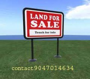 SRI RAM NAGAR (Kallanthiri to Alagarkovil Main road)    