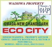 Eco City GMADA Plots Mullanpur Sale/Purchase @ Wadhwa Property