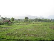 Eco Friendly Ideal Resort and 100 Bighas Land Sale in North Bengal