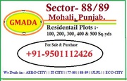 GMADA Sector-88/89 Plots for sale in Mohali, Gmada Approved.9501112426