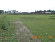 Near Siliguri Town 9 Bigha Land Immediately Sale at Cheap Price